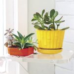 article image - 